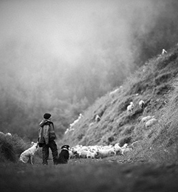 Hélène la bérgère © Laurent Salino